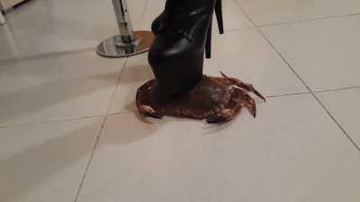 High Heel Boots | Crab