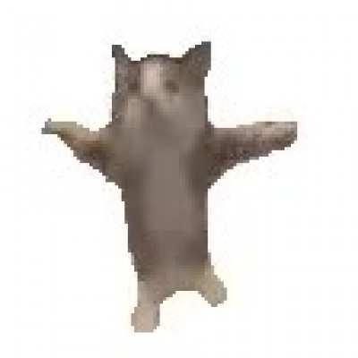 Take this dancing cat