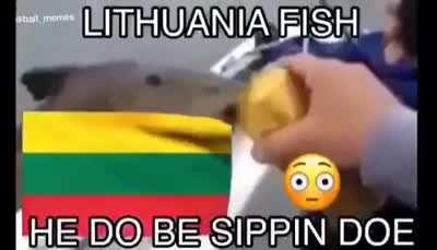 Poland fish🤢🤢🤢😖🤢😖🤢😖🤢😖🤢🤢😖Lithuanian fish😎😎😨😎😁😍😎😎😎😎😜😝