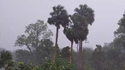 A nice downpour in Central Florida.