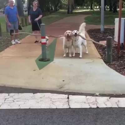 Branch manager and assistant branch manager.