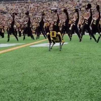 The University of Missouri Debuted Their Dancing Robot This Past Weekend