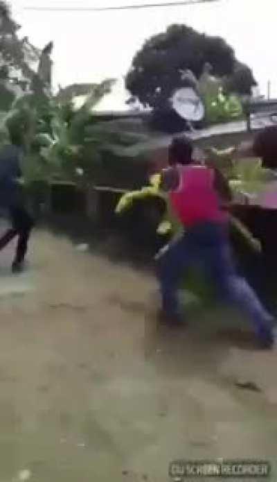 Funniest fight I have ever seen (hope its no repost)