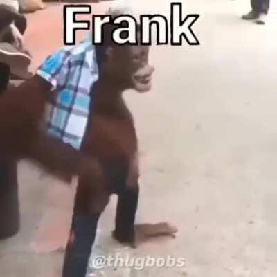 😎🤙FRANK😎🤙