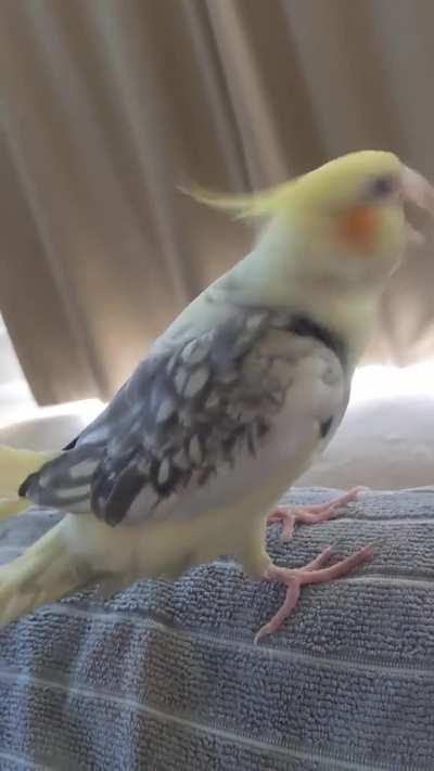 Wanted to film his cute singing but he decided to go psycho mode