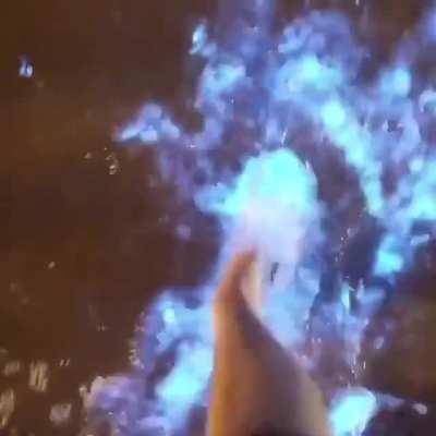 Walking Through Bioluminescent Plankton