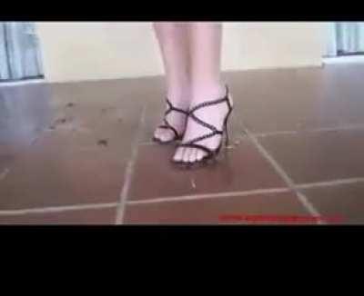 Sandal Roach