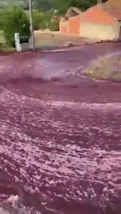 The streets of Levira, Portugal were flooded with red wine after a distillery’s 2.2 million liter tanks burst.