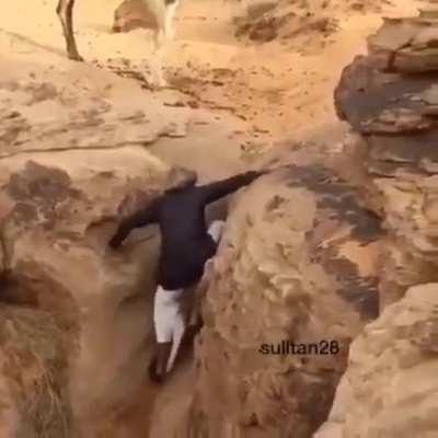 Man reunites baby camel with mother after getting stuck in pit