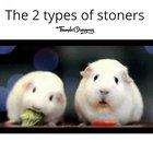 The 2 types of stoners