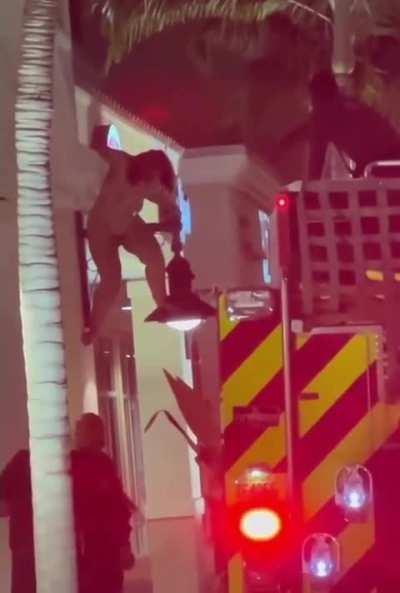 drunk naked lady climbs to the roof of a Japanese restaurant in Fort Myers, descent doesn’t go as planned.