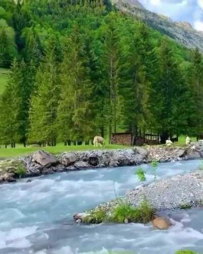 🔥 Beautiful Switzerland nature