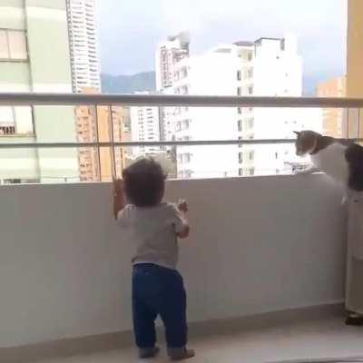 Cat protecting the tiny human