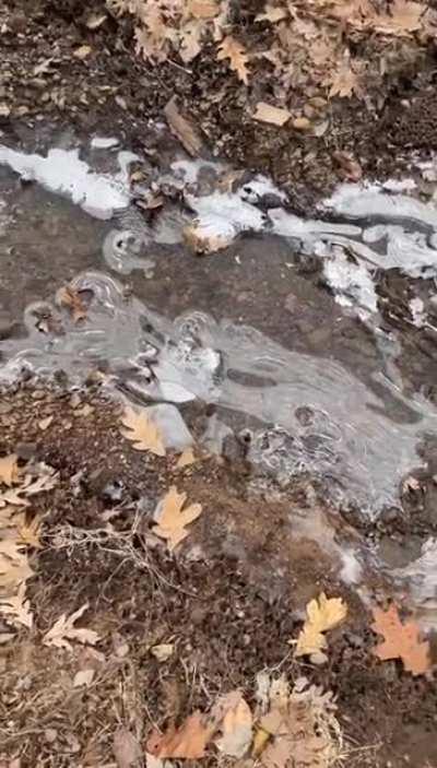 Throwing a rock through some nice ice I found