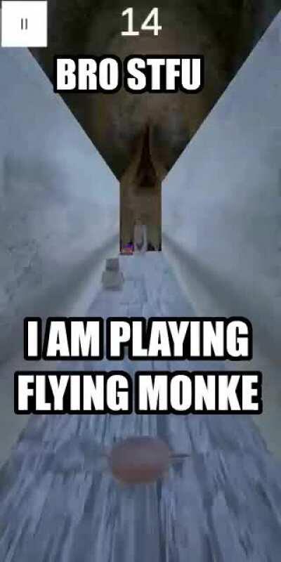 flying monke