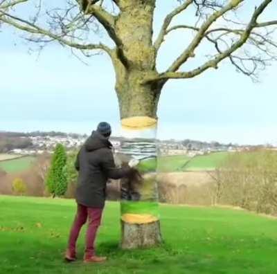 Creating tree art