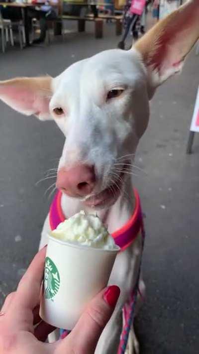 Thanks kind Starbucks stranger for offering Adisa a side of whipped cream :)