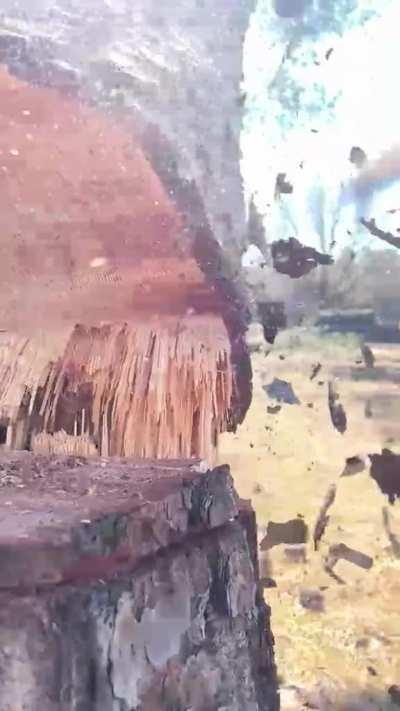 A tree falling in slow motion. The bark exploding looks insane