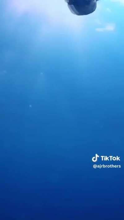 New Tiktok!