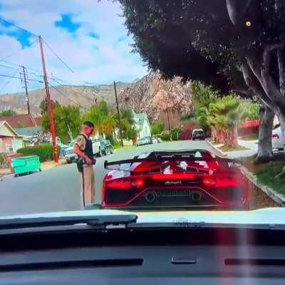 An officer at car window