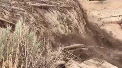 Big flash flood in utah filled with lots of logs