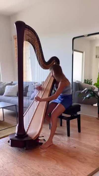 Covering Blue - EIffel 65 on a Harp.