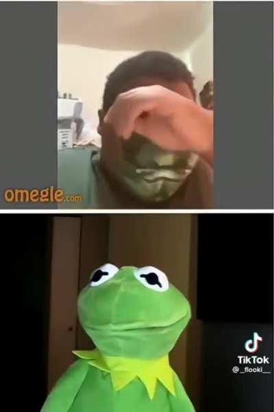 Kermit almost broke