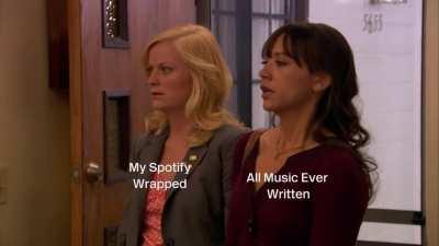 The PandR Spotify Wrapped Experience