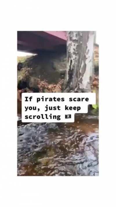 Keep scrolling if you are afraid of pirates