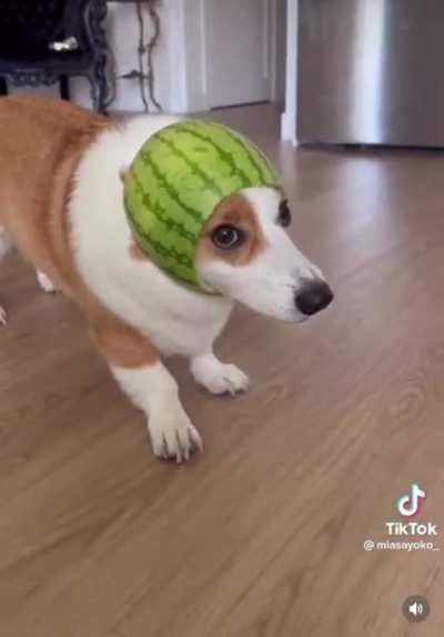 Cutest melon in town! (0:31)