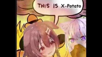 This is X-Potato