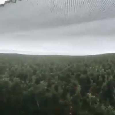 Rain falling off high density hail netting over an apple ofchard