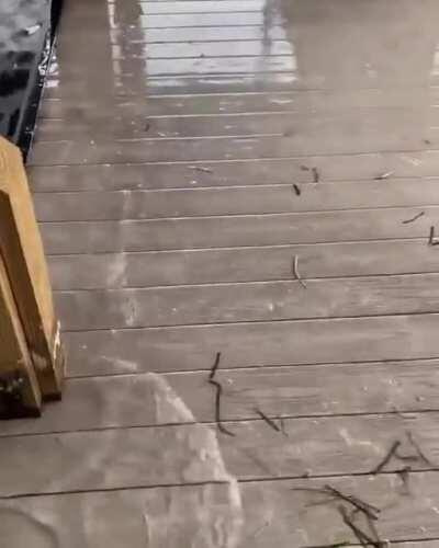 Waves Hitting the Dock