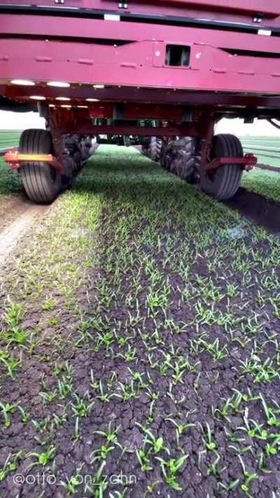 Eliminating weeds with precision lasers. This technology is to help farmers reduce the use of pesticides