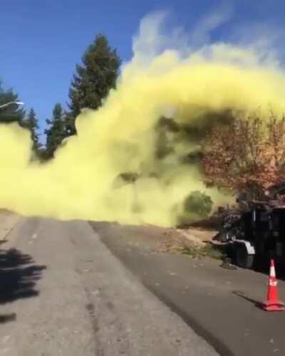 The pollen in this tree