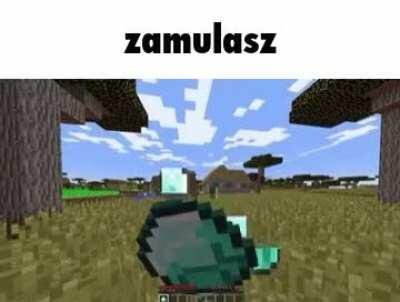 Zamulasz