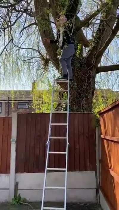 WCGW being a bellend on a tree