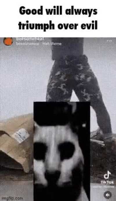 KnowYourMeme