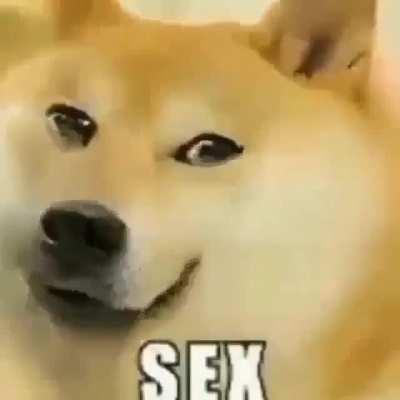 Sex