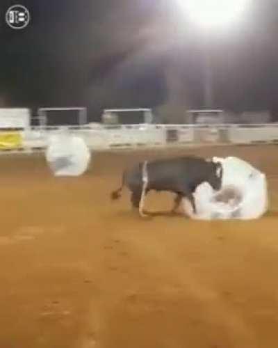 Bubble Bull soccer