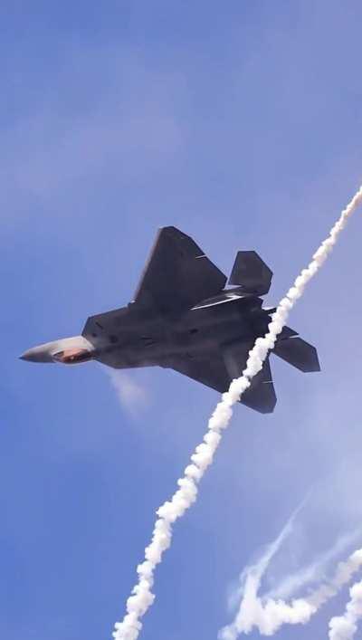 F22 pilot comes to a full stop mid air