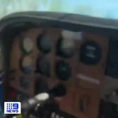 Large spider falls on Australian pilot while he’s landing the plane