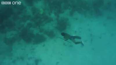 This diver from Badjao tribe walking and fishing underwater