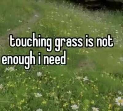 Grass