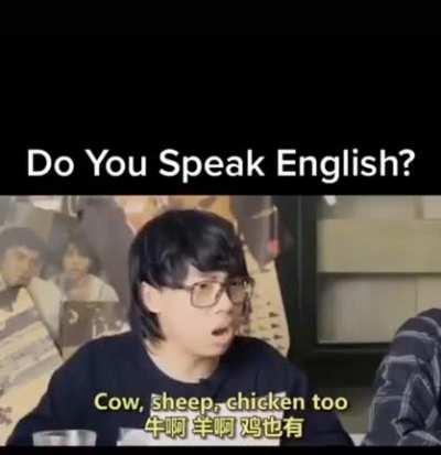 Do you speak English?