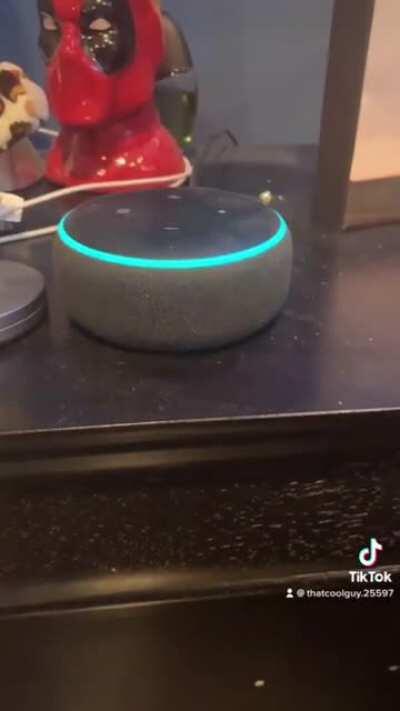 My Alexa is really testing me today 😂