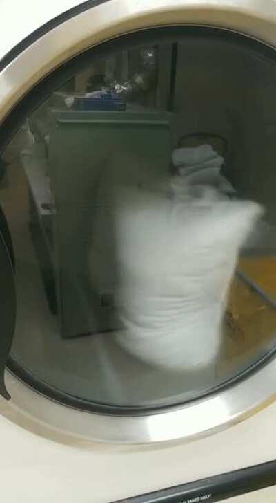 These pillows synchronized flipping in a dryer