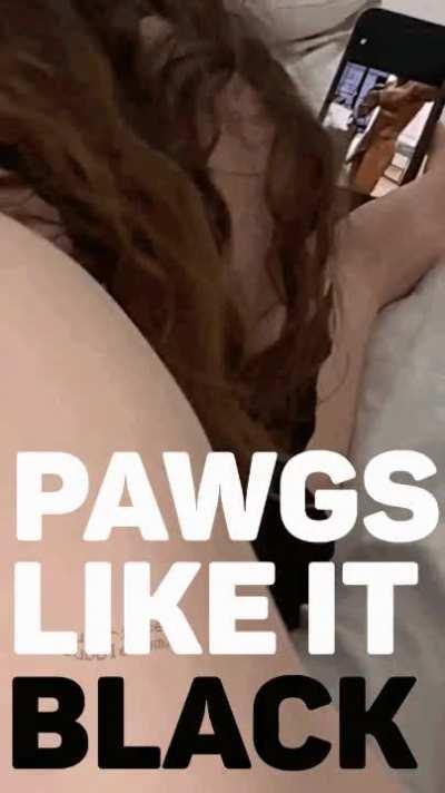 Pawgs like it