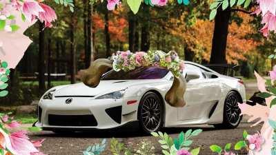 Lexus LFA Sings O Mio Babbino Caro