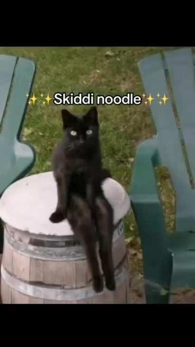 Skiddy Noodle be wunken